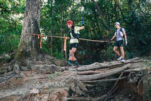 BIB: 
                            <button type="button" onclick="openModal(27306300)" class="btn btn-primary btn-sm float-right btn-popup" data-toggle="modal" data-target=".modal-high-quality">
                        <i class="fas fa-shopping-cart"></i> Add to Cart
                    </button>
                                            <button type="button" onclick="isThisMe(27306300, true)" class="btn btn-success btn-sm float-right btn-popup btn-isme hidden" data-toggle="tooltip" data-placement="bottom" title="นี่คือรูปของคุณใช่ไหม คลิกที่นี่เพื่อเอาเข้าอัลบั้ม">
                        <i class="fas fa-plus"></i> Add to album
                    </button>
                    <button type="button" onclick="isThisMe(27306300, false)" class="btn btn-warning btn-sm float-right btn-popup btn-isnotme hidden">
                        <i class="fas fa-ban"></i> Remove from album
                    </button>